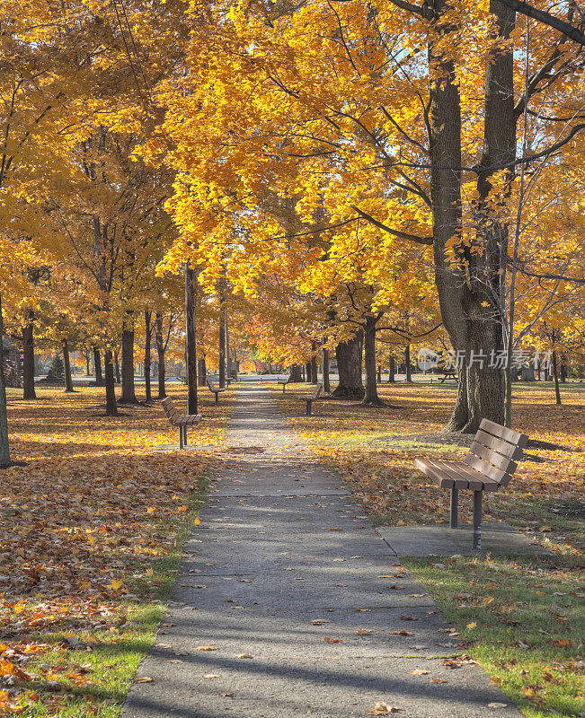 秋天的城市公园，有人行道和长椅