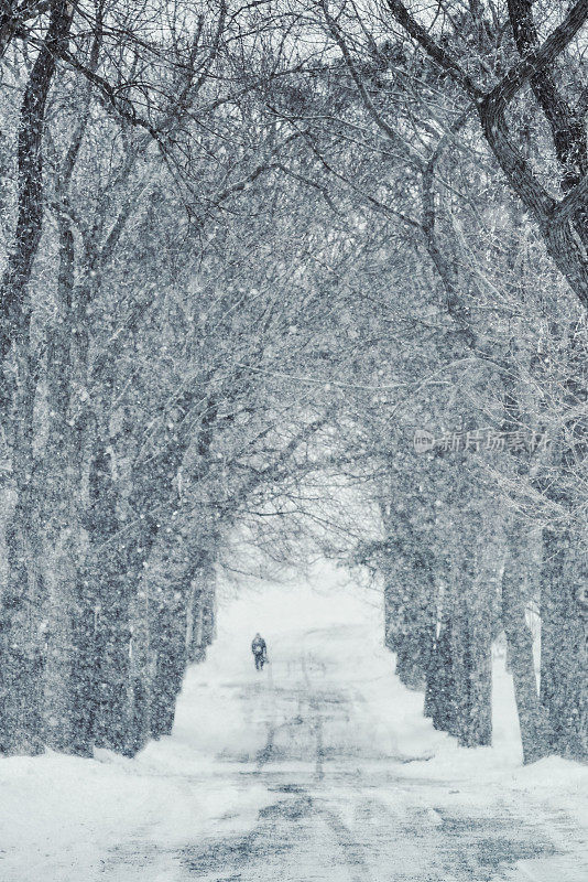 小路上正在下雪