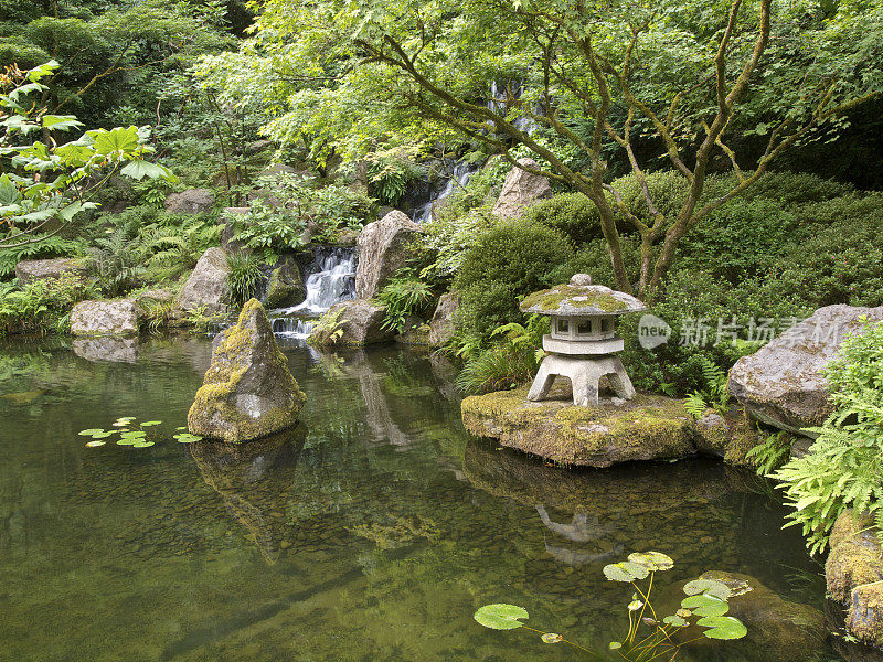 石灯的一部分瀑布池塘波特兰日本花园