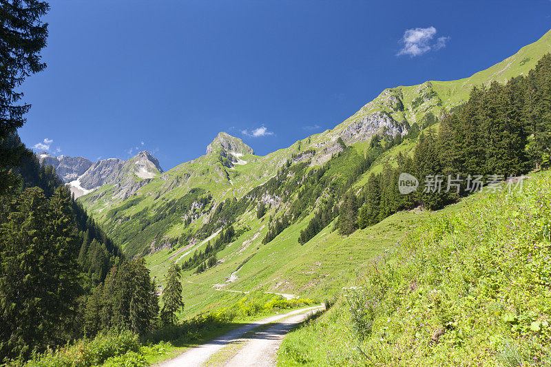 Lechtal阿尔卑斯山、奥地利