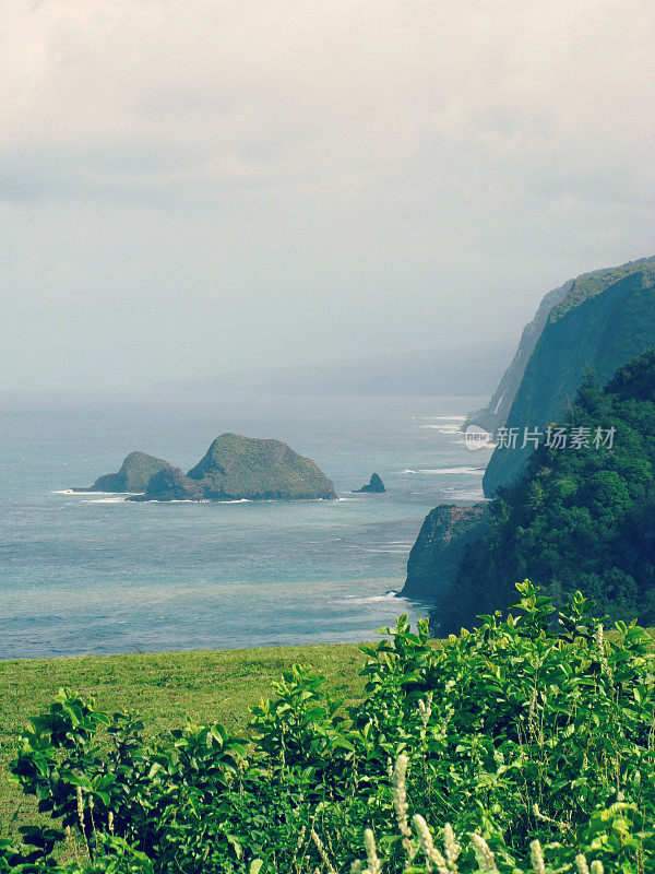 夏威夷洛基火山海岸的Waipi'o山谷小径