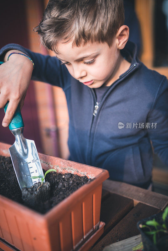 孩子照顾植物