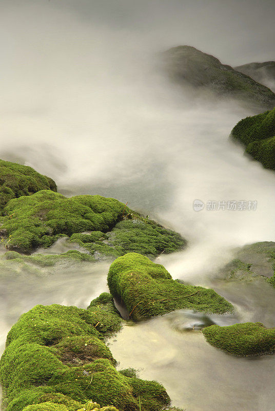 溪中的苔藓岩石