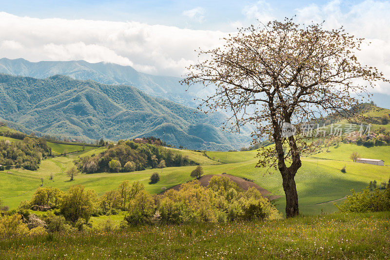 美丽的意大利乡村景观在连绵的山丘和蓝天