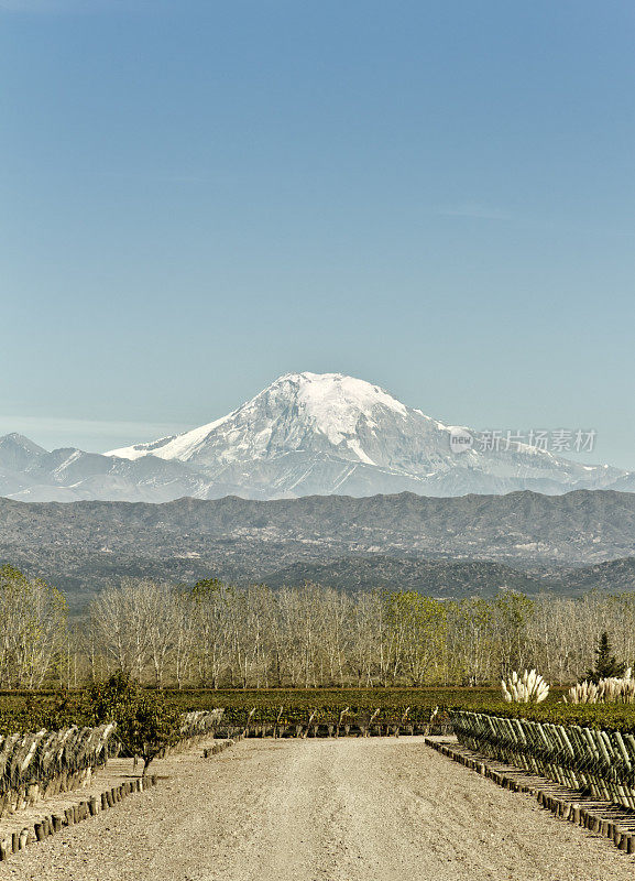 葡萄园和山地