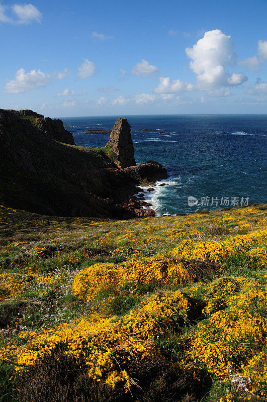 顶峰，泽西岛。