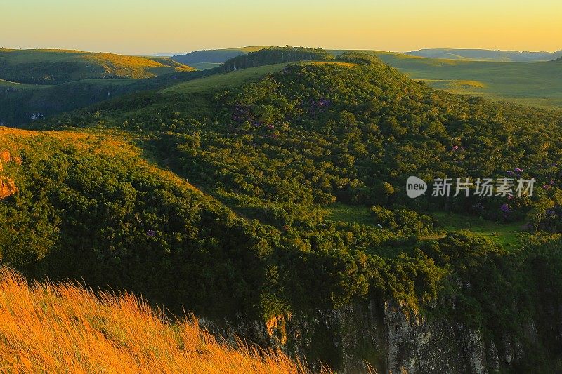 峡谷福塔莱萨草甸，金色的日落，大南，巴西