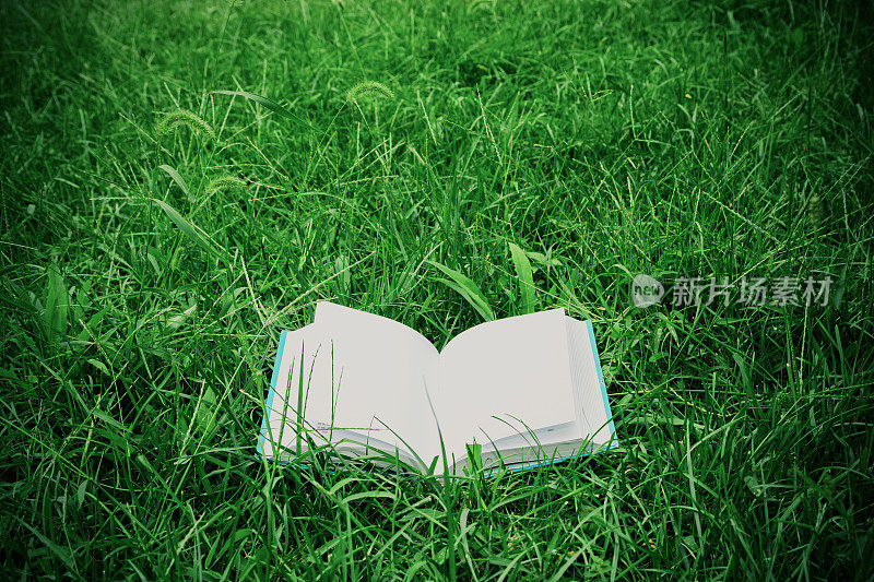 教育:翻开书在草上