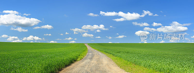 泥土路穿过绿野蓝天下的春景