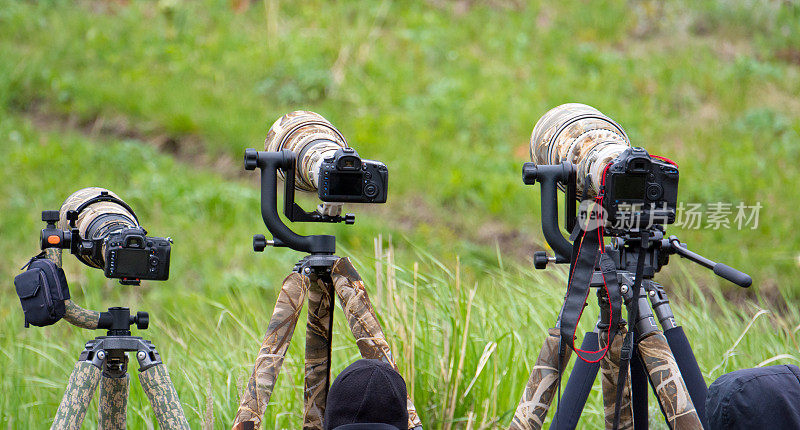 数码单反长镜头，野生动物摄影师