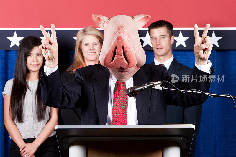 猪领导Politician-Victory