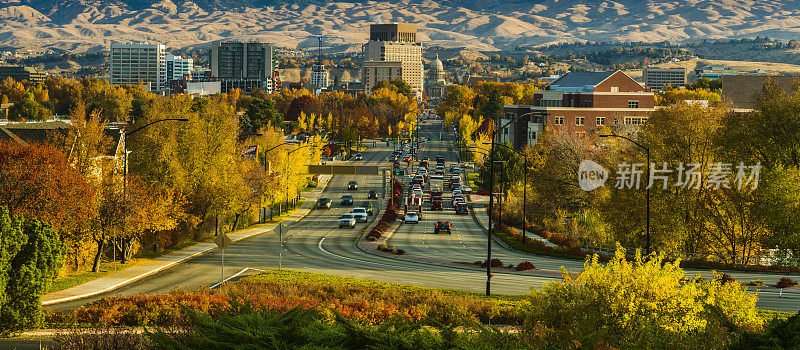 爱达荷州博伊西市国会大道的秋天