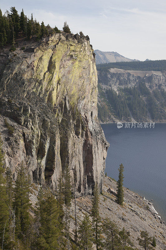 火山口悬崖地衣