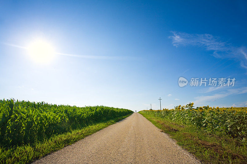 田野里的路