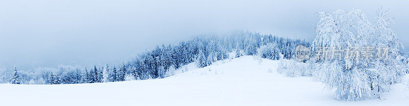 山上的冬树被新雪覆盖