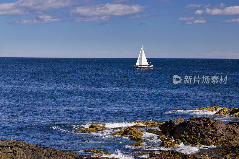 帆船，岩石海岸，海洋和蓝天，缅因州，新英格兰。