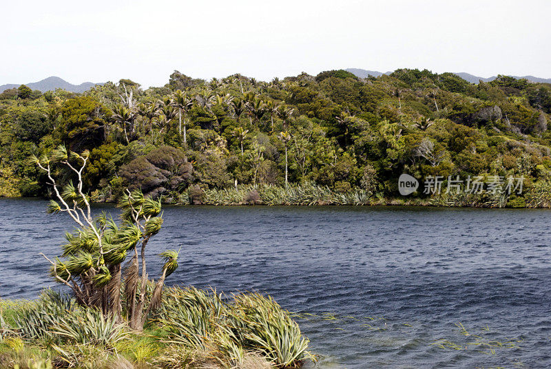 凯霍卡湖风景保护区，金湾，新西兰