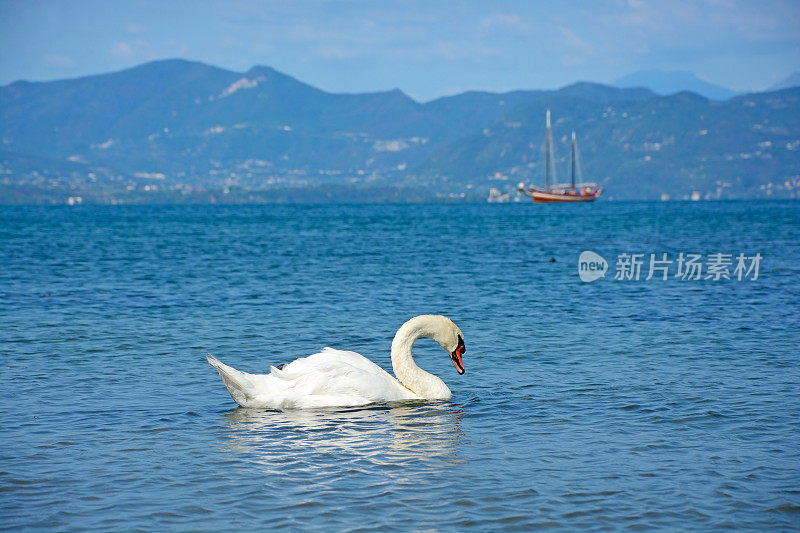 加尔达湖