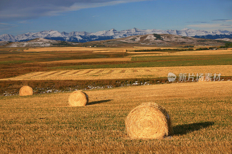 艾伯塔省牧场有干草和落基山脉