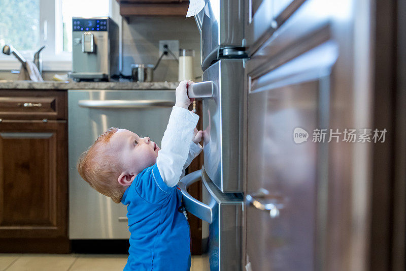 小男孩在厨房抓冰箱把手