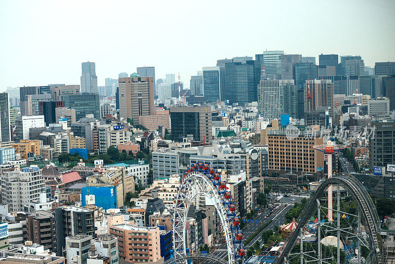 白天从高角度观看东京城市景观