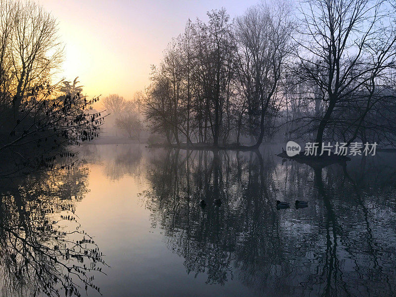 秋天的早晨在公园里