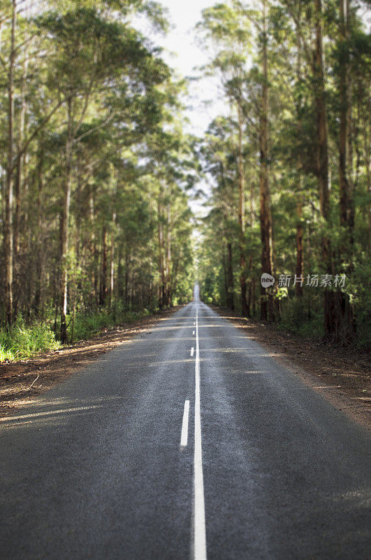 直森林道路