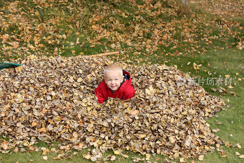 男孩在秋天的树叶中玩耍