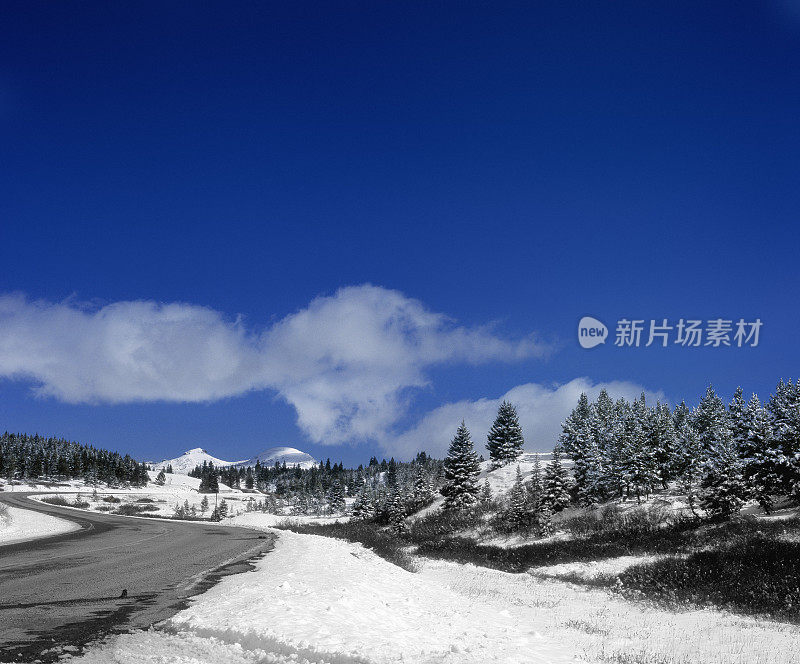 穿过积雪覆盖的落基山脉的道路