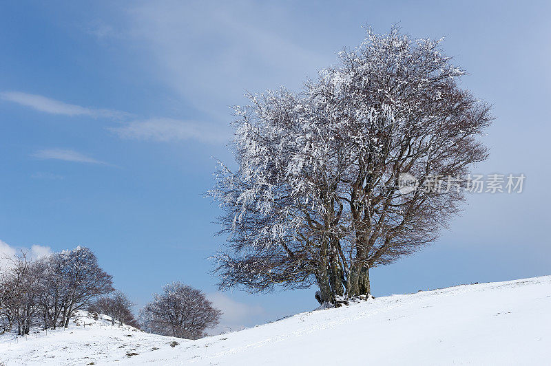 春天雪覆盖了这座山