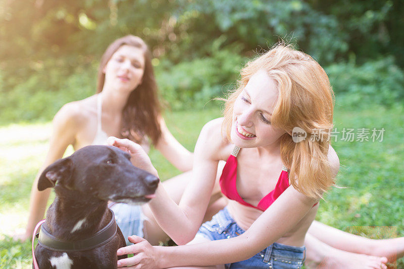 年轻女人在夏天抚摸可爱的狗
