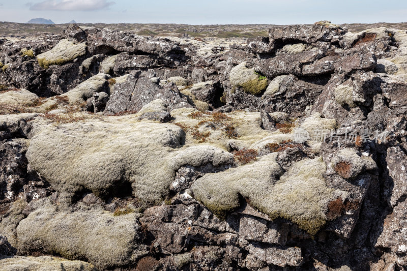 冰岛Krysuvik被苔藓覆盖的熔岩田
