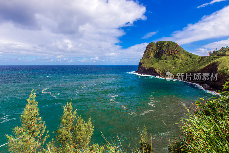 有树的夏威夷岩石海滩