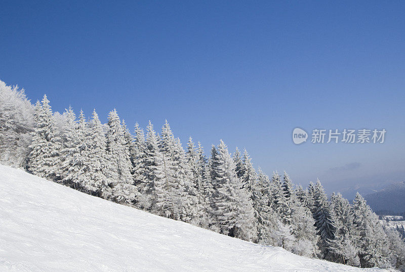 冬天的山坡