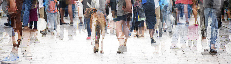 城市漫步，双曝光一大群人和一只狗，抽象的全景横幅为网站标题