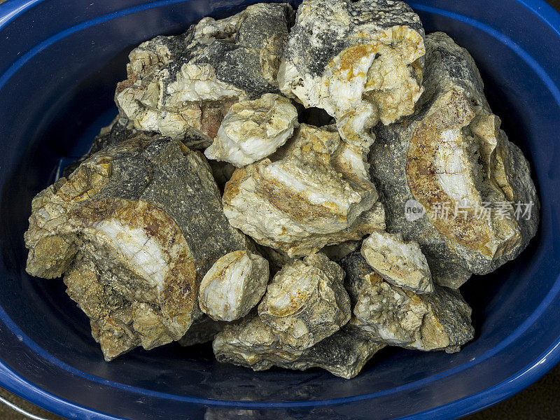 桶的岩石蛋白石未切割的宝石从矿山在美国