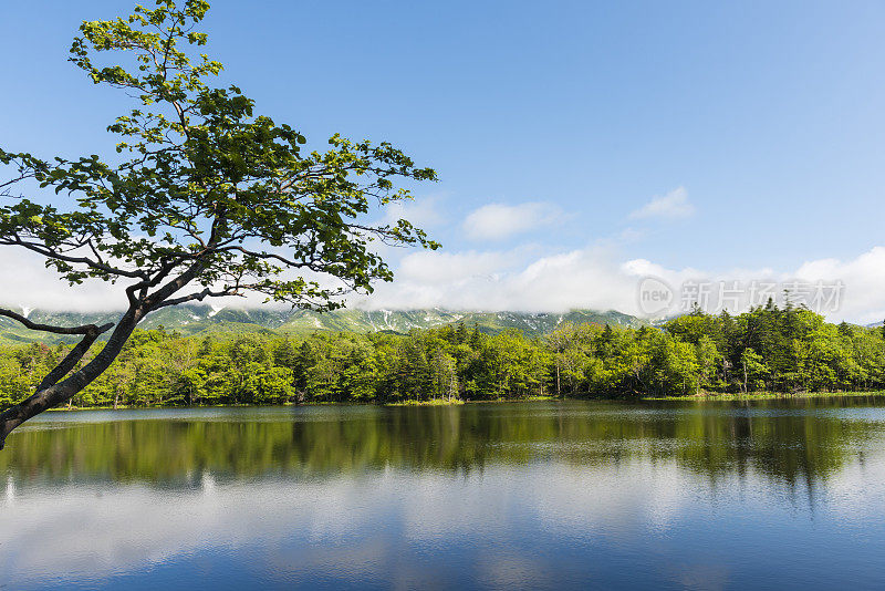 知床五湖，北海道，日本