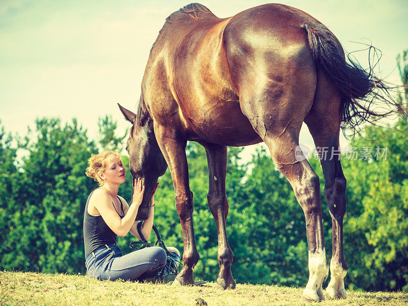 骑师和马坐在草地上