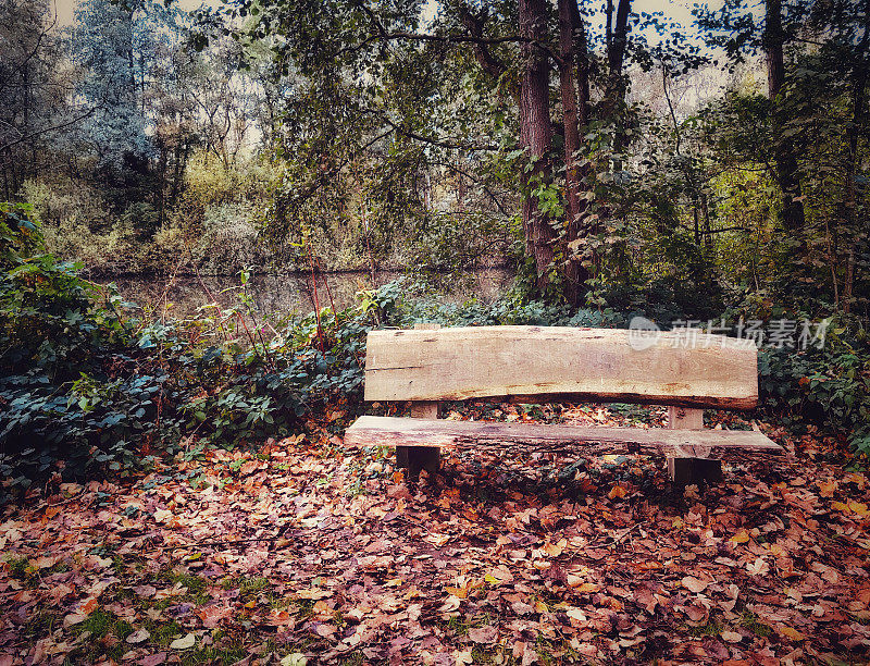 秋日落叶间的木凳