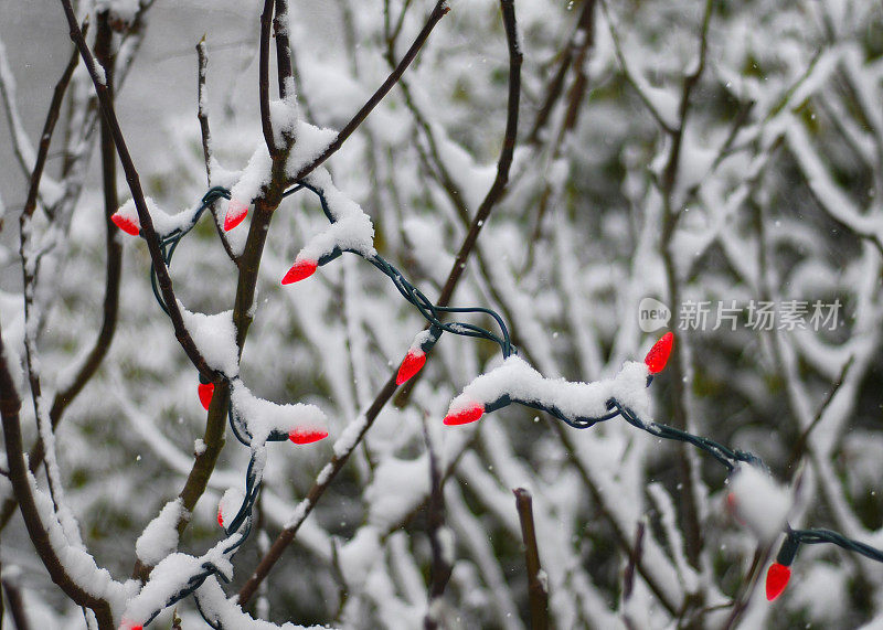 圣诞彩灯在雪中