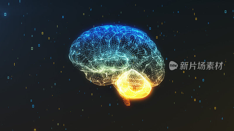 一个数字大脑在数字信息云在侧面视图演示计算的概念