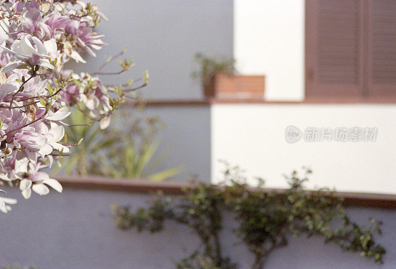 乡村住宅建筑的细节