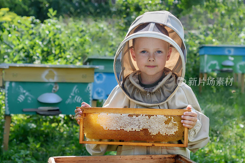 小养蜂人手里拿着一个装满新鲜蜂蜜的蜂巢。养蜂。新鲜的蜂蜜。