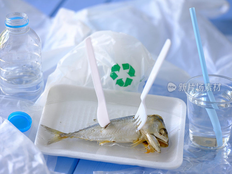 用保鲜膜包裹的印度鲭鱼放在聚苯乙烯盘子上，盘子打开后用塑料刀叉戳鱼，放在蓝色的木桌背景上。