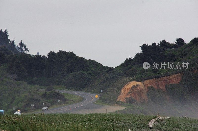 红木的历史