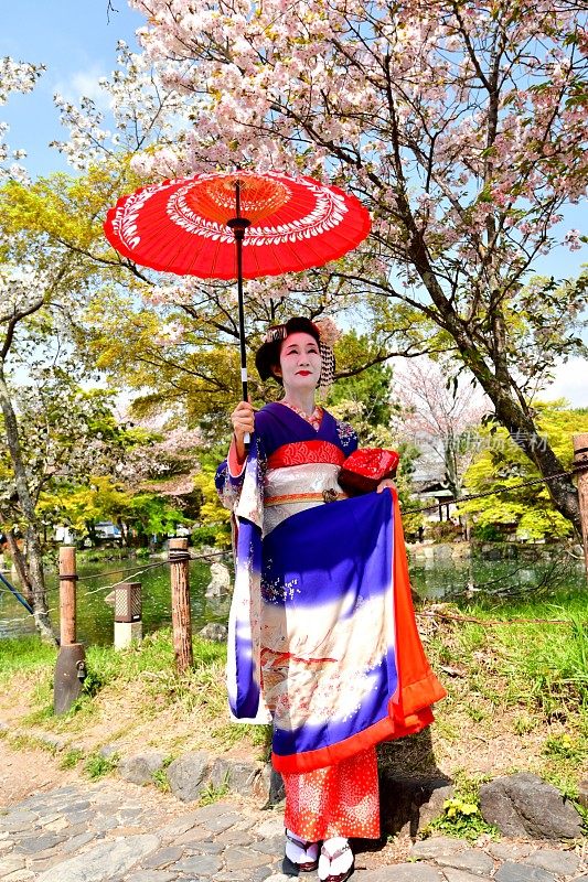 穿着舞子服装的日本女人享受京都的春天