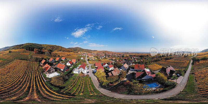 360x180度球形(等矩形)航拍秋日Riquewihr葡萄园，阿尔萨斯葡萄酒之路，法国