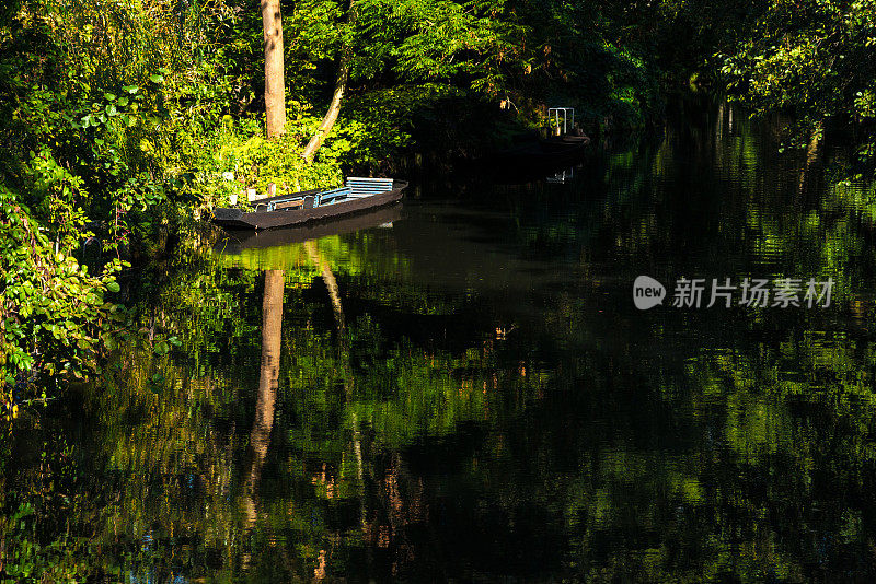 斯普雷瓦尔德-典型的森林河流景观，在阳光下的秋天与船