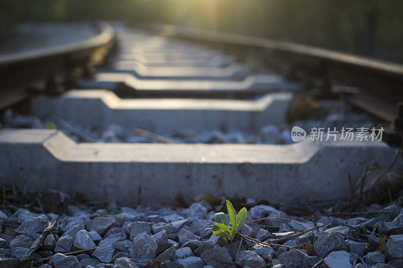 阳光下的铁路枕木