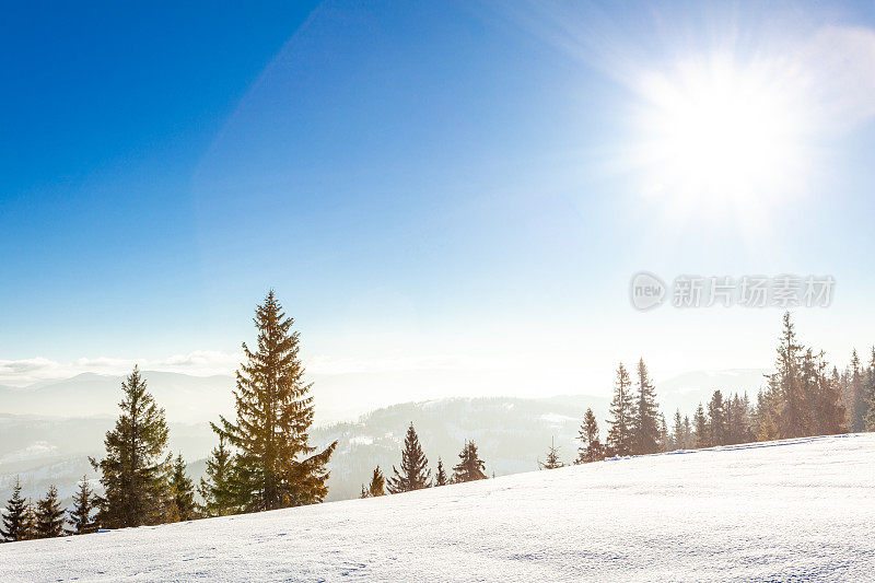 冬天的风景，一切都被雪覆盖，林间空地，冷杉林和奥地利阿尔卑斯山的山峰，但温暖的美丽的阳光。